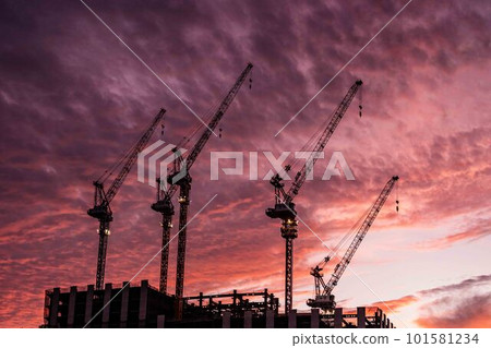 染成夕陽的鶴 101581234