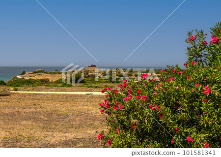 Remains of Greek temples 101581341
