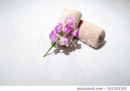 Beauty salon image 101581585