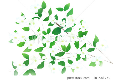 Hanamizuki flower card 3 101581739