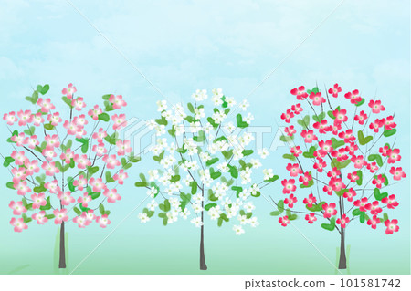 Hanamizuki flower card 6 101581742