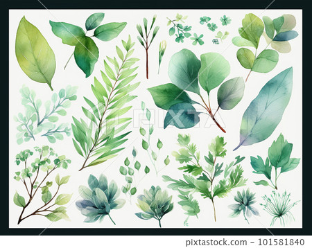 水彩畫的綠葉 101581840