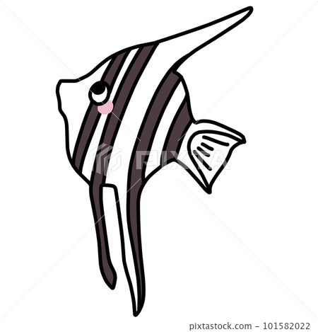 可愛神仙魚的彩色插圖 101582022