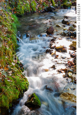 Taishakukyo river in autumn 101582214