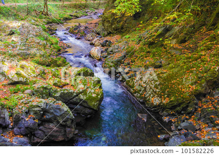 Taishakukyo river in autumn Taishakukyo river in autumn 101582226