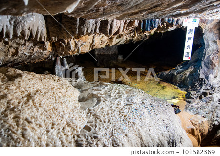 Microghouls in Igura Cave passage 101582369