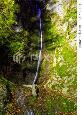 秋天的落葉和夜幕下的 Kinukake 瀑布 秋天的落葉和夜幕下的 Kinukake 瀑布 101582424