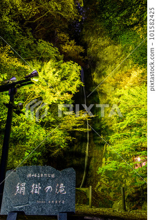 Autumn leaves and Kinukake Waterfall at night 101582425