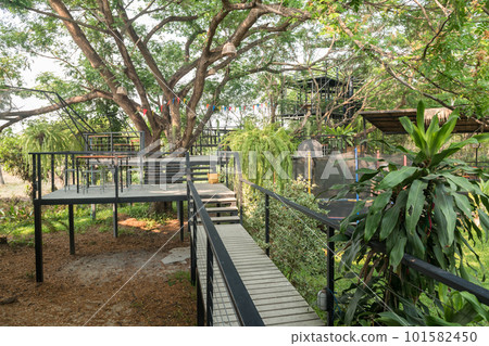 skywalk path to building to see beautiful spring garden 101582450