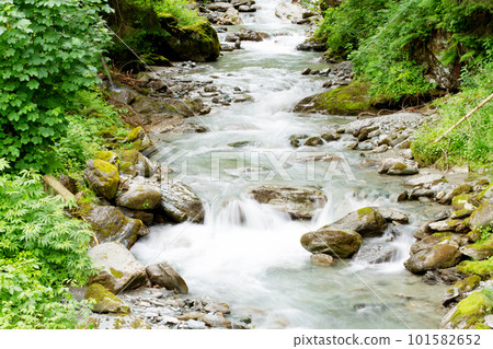 Mountain stream in the green of the Alps, Austria. High quality photo Mountain stream in the green of the Alps, Austria. High quality photo 101582652
