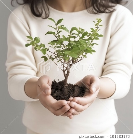A little girl carefully holds a small green tree in her hands, on a white background, the concept of nature conservation, respect for the environment 101583173