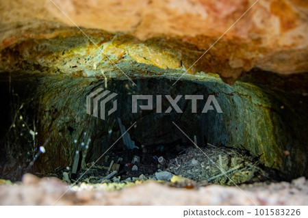 仙翠島防空洞內 101583226