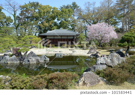 Nijo Castle in spring Kountei in Seiryuen, Nakagyo Ward, Kyoto Nijo Castle in spring Kountei in Seiryuen, Nakagyo Ward, Kyoto 101583441