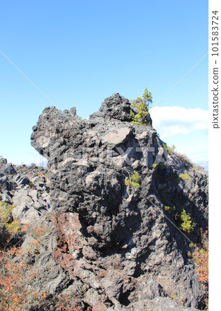 崎嶇的熔岩已經冷卻和硬化/荒涼的岩石區域，植被很少 101583724