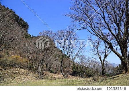 Byobuiwa Park (National Natural Monument) [Soni Village, Uda-gun, Nara Prefecture] 101583846