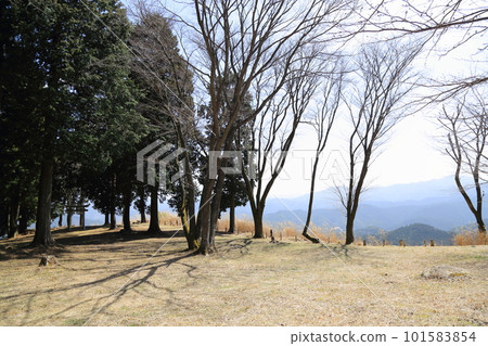 Byobuiwa Park (National Natural Monument) [Soni Village, Uda-gun, Nara Prefecture] 101583854