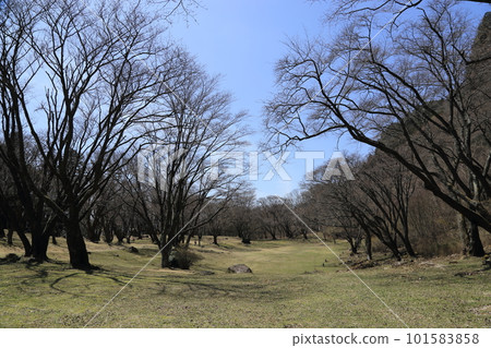 屏岩公園(國家天然紀念物)【奈良縣宇多郡小二村】 屏岩公園(國家天然紀念物)【奈良縣宇多郡小二村】 101583858