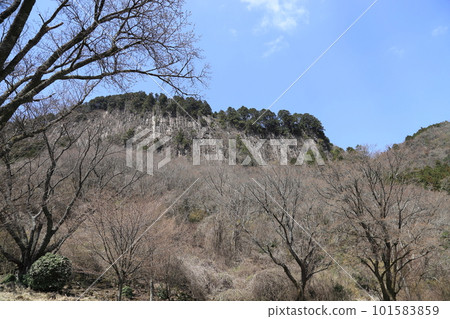 屏岩公園（國家天然紀念物）【奈良縣宇多郡小二村】 101583859