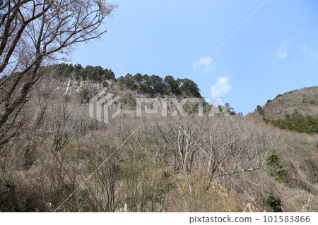 屏岩公園（國家天然紀念物）【奈良縣宇多郡小二村】 101583866