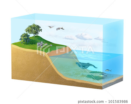 Biosphere diagram Biosphere diagram 101583986