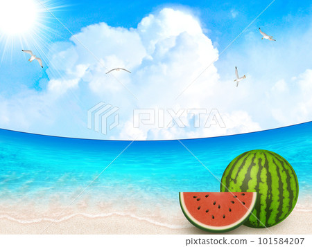 美麗的大海和夏日的天空 101584207