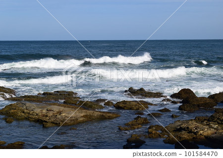 Rough waves of rocky place Shonai, Yamagata Prefecture Sea of Japan 101584470