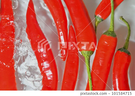 Close-up view of the red chilli peppers in water background. Texture of cooling vegeteble drink with macro bubbles on the white wall. Flat design. Horizontal image. Splashing liquid and red chilli Close-up view of the red chilli peppers in water background. Texture of cooling vegeteble drink with macro bubbles on the white wall. Flat design. Horizontal image. Splashing liquid and red chilli 101584715