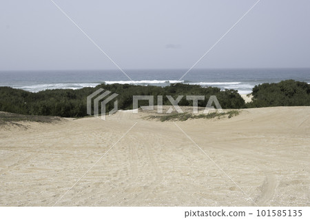 Sand dunes near Lacrose, Senegal Sand dunes near Lacrose, Senegal 101585135