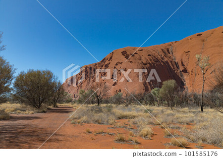 Ayers Rock base walk Ayers Rock base walk 101585176