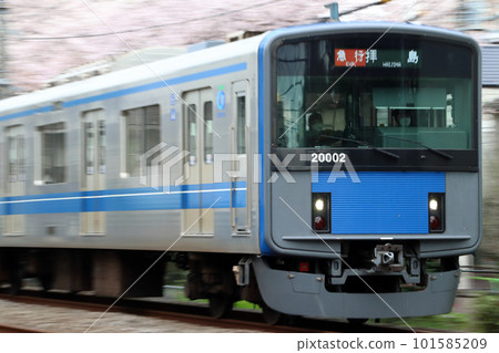 西武新宿線 20000 系列沿著櫻花樹行駛(搖攝) 西武新宿線 20000 系列沿著櫻花樹行駛(搖攝) 101585209