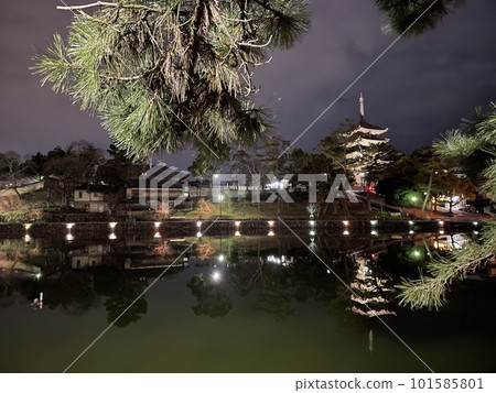 燈火通明的五層寶塔和水面上倒映的燈火松樹 101585801