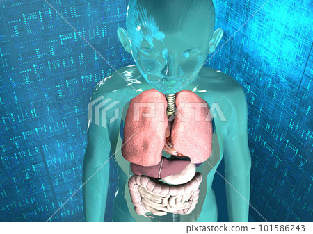 人體醫學科學前沿醫學內臟解剖圖(3DCG圖像) 人體醫學科學前沿醫學內臟解剖圖(3DCG圖像) 101586243