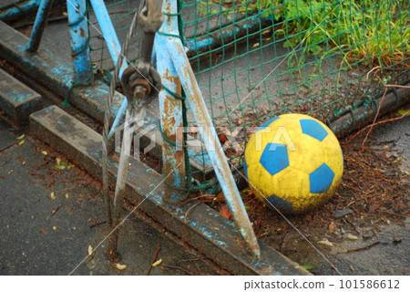 soccer ball    101586612