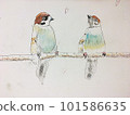 Two sparrows drawn by a child Two sparrows drawn by a child 101586635