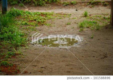 Puddle Puddle 101586696