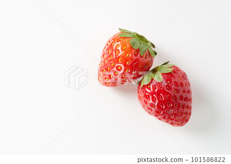 Strawberries on a white background (Tochiaika) 101586822