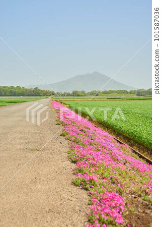 Yellow sand over Mount Tsukuba on April 12, 2023 Yellow sand over Mount Tsukuba on April 12, 2023 101587036