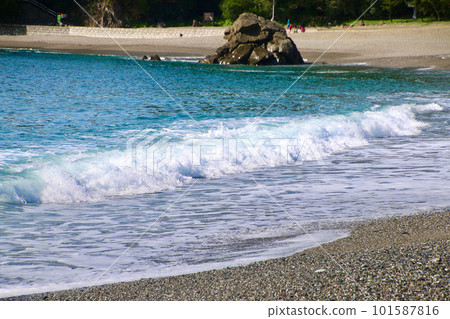 桂濱/洗波（高知縣/高知市） 101587816