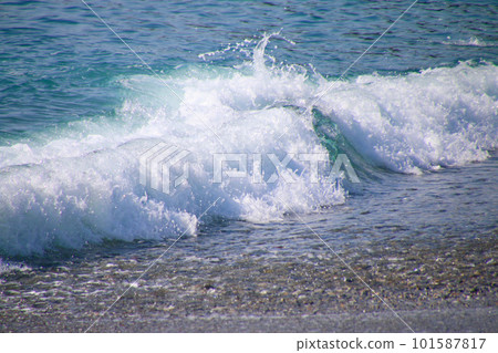 桂濱/洗波（高知縣/高知市） 101587817