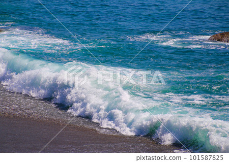 桂濱/洗波（高知縣/高知市） 101587825