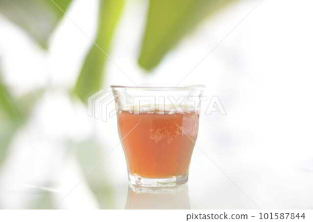 Highly active kombucha in a glass Highly active kombucha in a glass 101587844