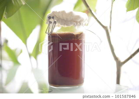 在瓶中發酵的高活性康普茶 101587846