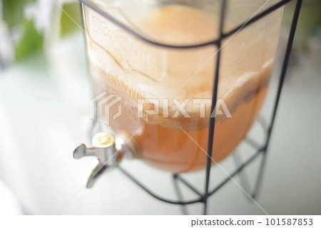 在瓶中發酵的高活性康普茶綠茶 101587853