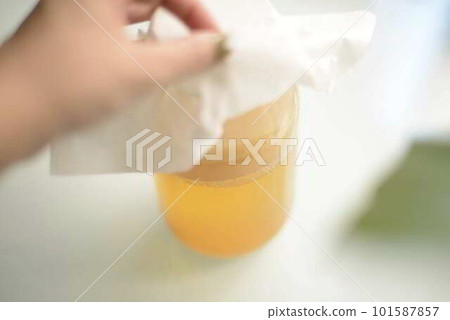 手剝康普茶蓋 101587857