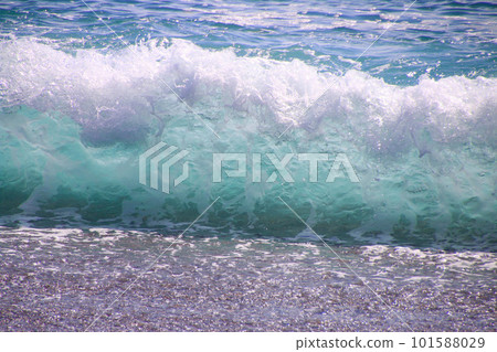 桂濱/洗波（高知縣/高知市） 101588029