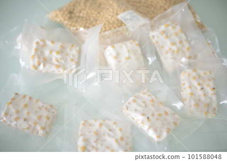 bagged tempeh bagged tempeh 101588048