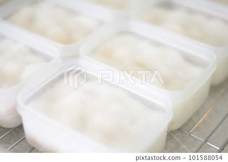 Tempeh just after fermentation 101588054