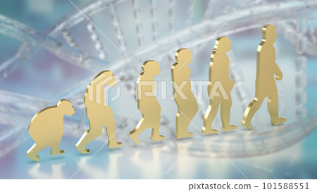 The human evolution image for education or sci concept 3d rendering The human evolution image for education or sci concept 3d rendering 101588551