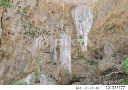 Worship place and ceiling of Sefa Utaki (Nanjo City, Okinawa Prefecture) 101588677