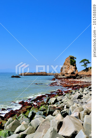 從立石公園看到的富士山秋穀風光 從立石公園看到的富士山秋穀風光 101588889